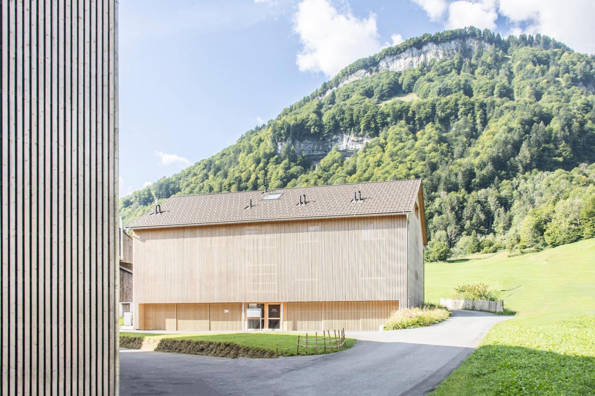 Wasserfall Apartment Waldblick Mellau Exteriör bild