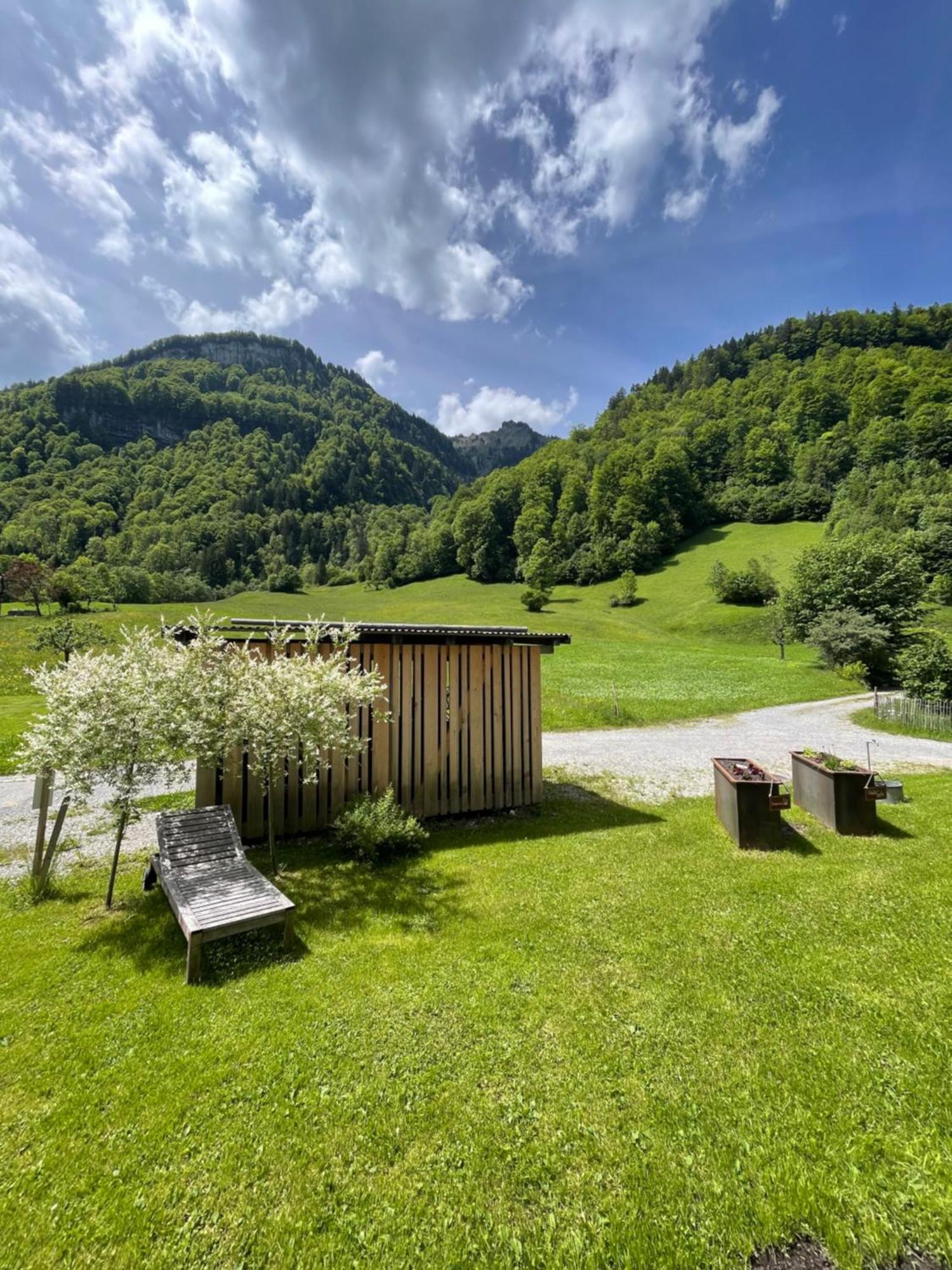 Wasserfall Apartment Waldblick Mellau Exteriör bild